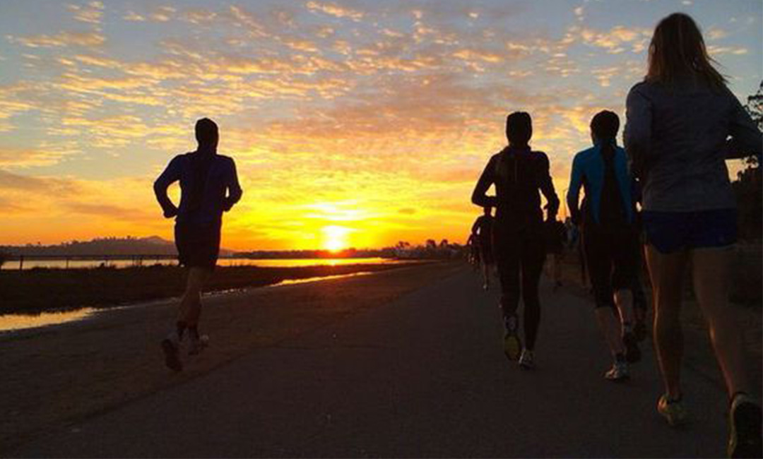 文山计步器问答案例